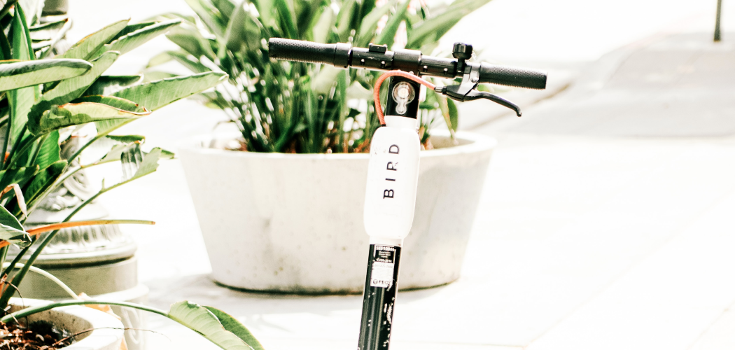 Electric Scooter Releases New Regulations