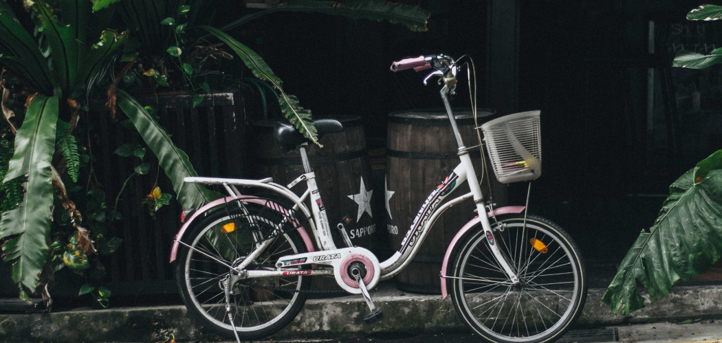 What are the options for bicycle rental in Singapore?